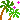 palmtrees