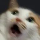 __