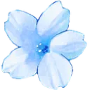 e_blueflowerdtiribbons