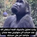 emoji_32 Discord Emoji from 3rbjh community