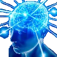bigbrain