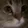 catmeow catmeow