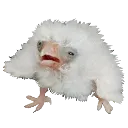 GUH