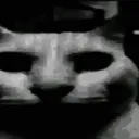 catF