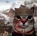 soldiercat soldiercat