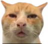 :whart: