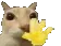 Kitty_Wave_Hewwo