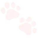 4_paws