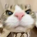 angry
