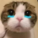 sad