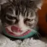 yawn