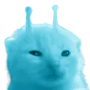 Blorp