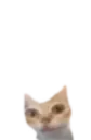 er