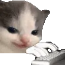 eviltype