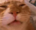 puh puh