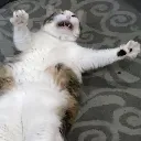 AHHHFUCK