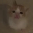 emoji_10
