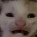 eww eww