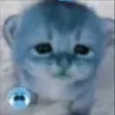 Kaw