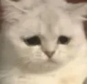 sad sad