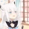 FubukiConcern