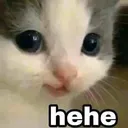 hehe
