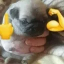 emoji_42