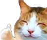 thumbupkitty