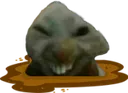 mud