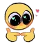 dmel dmel