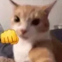 catpunch