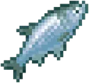 cc_cadoi