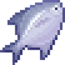 cc_cachim