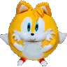 5Z_Tails_Spin