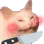 CatKnive
