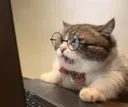 catanalysing