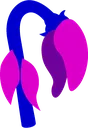 wilted_nightshade