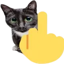 middlefingercat