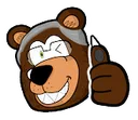 BearJensen1