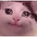 sadcat