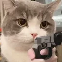 tudou_pistol