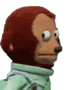 monkeylooks