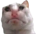 dalamgidau