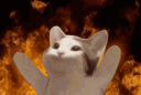 popcatpopcatsolana