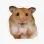 hamster_ok