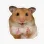 hamster_ok Discord Emoji - /𝗘𝗰𝗹𝗶𝗽𝘀𝗲