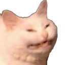 angrycat Discord sticker | /𝗘𝗰𝗹𝗶𝗽𝘀𝗲