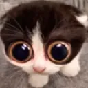 Monka_scared_huh Monka_scared_huh