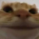 hehe