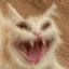 Yuoi_laugh